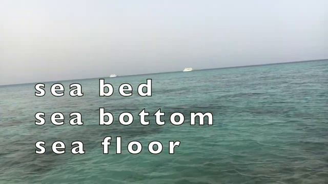 О море на английском с переводом, видео и объяснениями. Snorkeling Or Snorkelling? Хургада