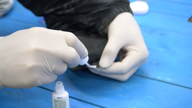 Цианакрилатные (мгновенные) клеи DoneDeal (США) смотреть онлайн