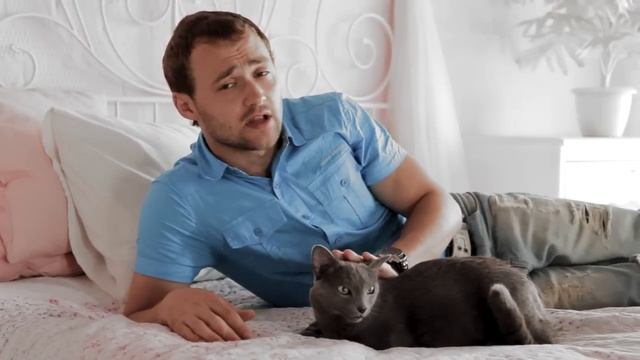 Catbox | all about смотреть онлайн