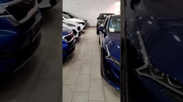 Автосалон KIA в Москве смотреть онлайн