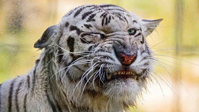Новая электронная песня. От нее где-то внутри разлива... смотреть онлайн