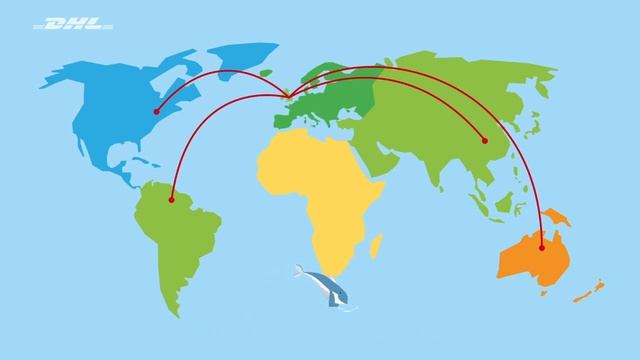 DHL Parcel UK | Next Day UK Delivery and International Delivery to 160 Countries Worldwide смотреть онлайн