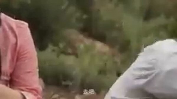 Semi keren dan tergila