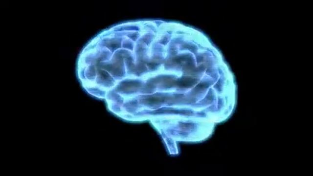 Bad Reception HUD Element Of A Holographic Human Brain Rotating смотреть онлайн