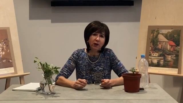 "Розовый сад" - вебинар смотреть онлайн