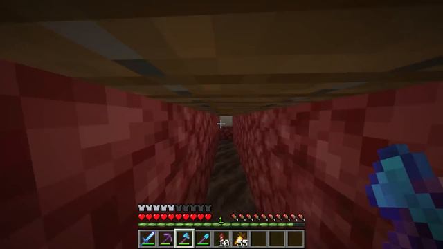 LAV BOTLARI ve NETHER TÜNELLERİNİN VAZGEÇİLMEZ HIZ TAKTİĞİ !!┇Minecraft Survival ▹Bölüm 62 смотреть онлайн