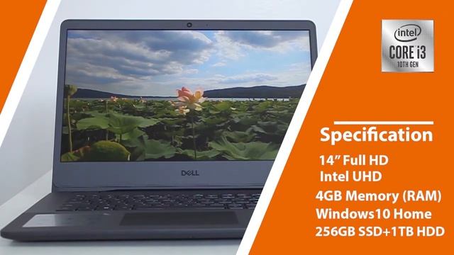 Dell Vostro 3401 Laptop Quick Unboxing and Review - Budget Friendly Dual Storage Pro Support смотреть онлайн