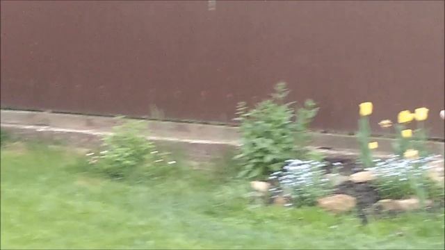Грачи прилетели смотреть онлайн