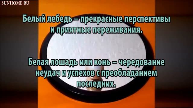 К чему снится Белый сонник, толкование сна смотреть онлайн