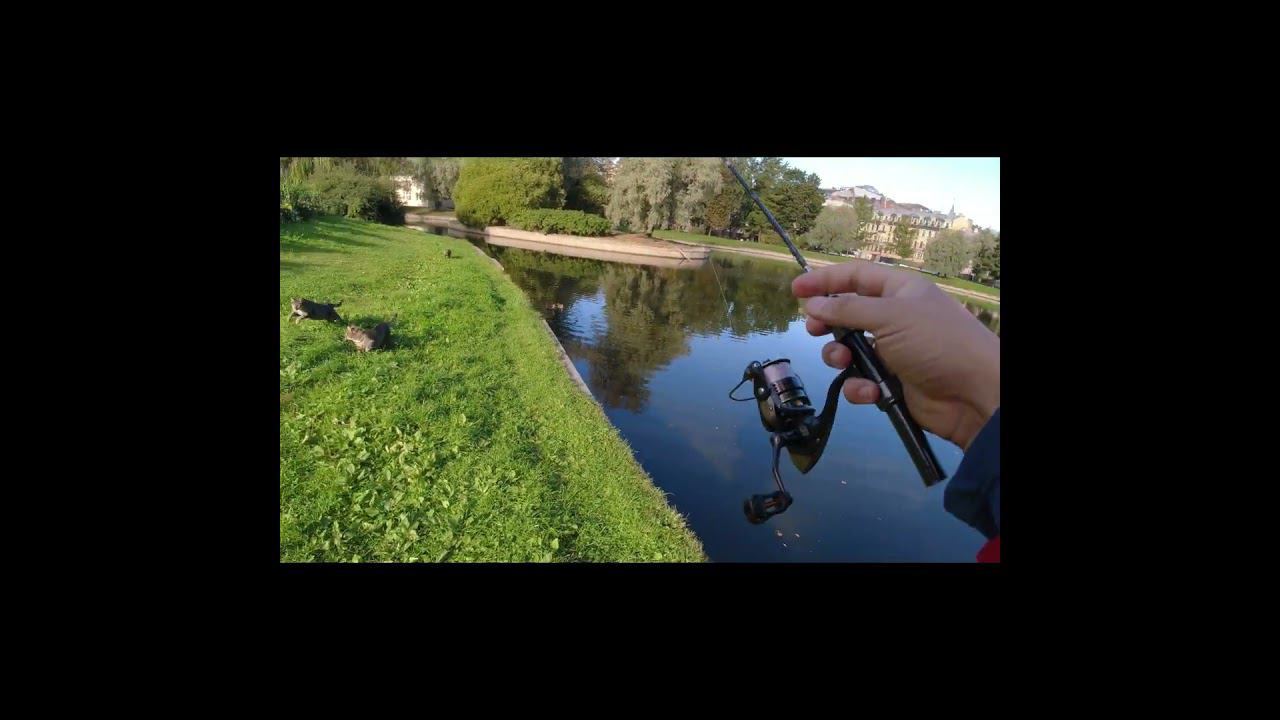 #мормышинг | Коты делят карася | смотреть онлайн