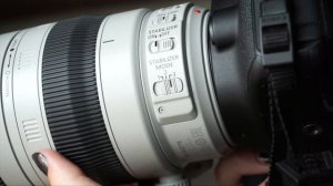 Обзор объектива Canon EF 100-400mm f/4.5-5.6L IS II USM от Фотосклад.ру