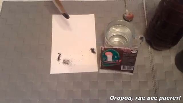 ОТЛИЧНАЯ ПОДКОРМКА ДЛЯ РАССАДЫ. Зола. Гумат.mp4 смотреть онлайн