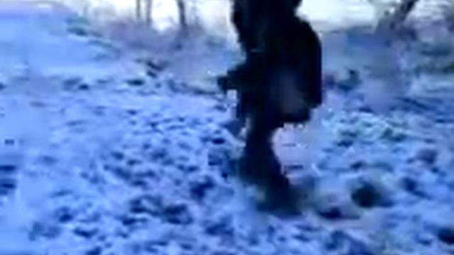 patetic guy rides snowboard смотреть онлайн