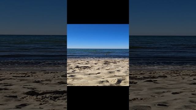 Море в Зеленоградске смотреть онлайн