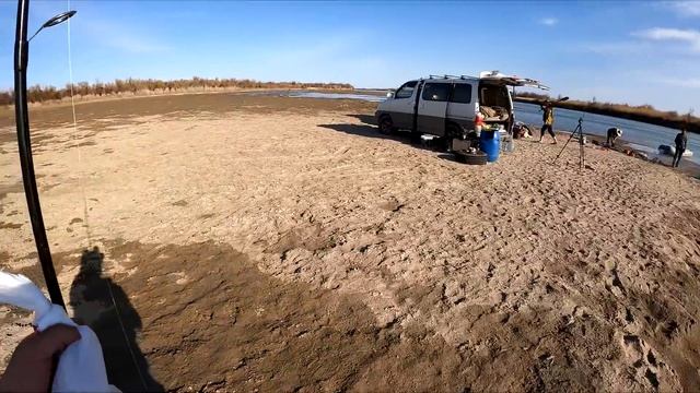 ВЕСЕННИЙ САЗАН НА ЗАКИДУШКИ!!! Рыбалка на реке ИЛИ! ОНИ НЕ ДАЮТ УПАСТЬ ПРИМАНКИ НА ДНО! Рыбалка 202 смотреть онлайн