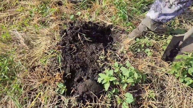 Много еще есть мест, где были раньше селения и попадаются хорошие находки смотреть онлайн