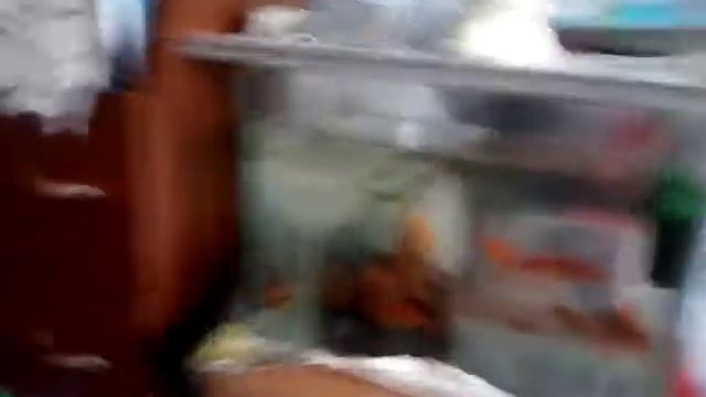 Мой аквариум с золотыми рыбками(9.03.20) смотреть онлайн