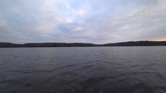 Рыбалка на спиннинг 2020. CRAZY FISH Arion 7-28 спиннинг на судака смотреть онлайн