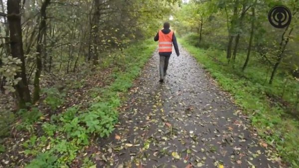 Polowanie zbiorowe na dziki i jelenie u Radka Dominowskiego.Jelenie w każdym miocie!
