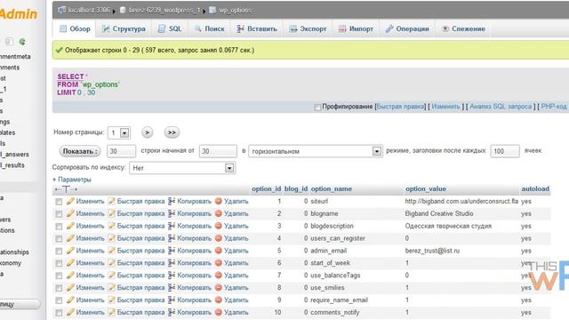 Как поменять префикс базы данных Wordpress смотреть онлайн