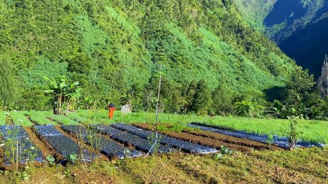 Morning Atmosphere In A Beautiful And Peaceful Village || A Village With Stunning Natural Views