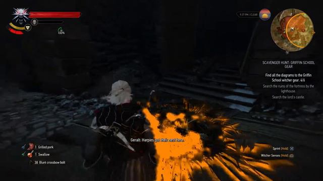 [PS4Pro] The Witcher 3 GoTY - Let's play - Part 42: Griffin Gear смотреть онлайн