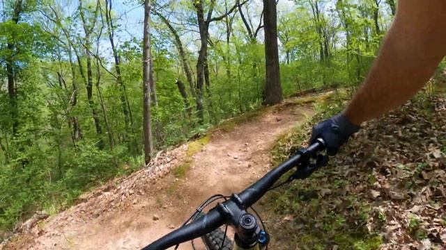 Which One Is The BEST VALUE Enduro MTB? | Polygon Collosus N9 vs Marin Alpine Trail XR смотреть онлайн