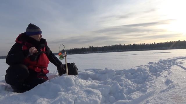 ЛОВЛЯ ЩУКИ на ЖЕРЛИЦЫ! Рыбалка на Лесном озере у деревни смотреть онлайн