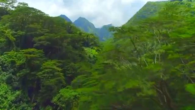 🍀Relaxing Piano Music 🍀Best Piano Music | Stres atıcı piyano müziği смотреть онлайн