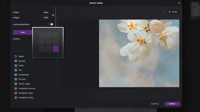 Quick & Easy Series: Smart Resize in Pixlr X смотреть онлайн
