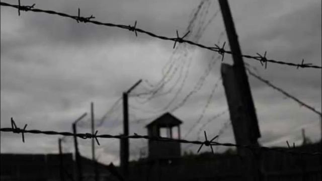 Как нужно засылать грев на тюрьму смотреть онлайн