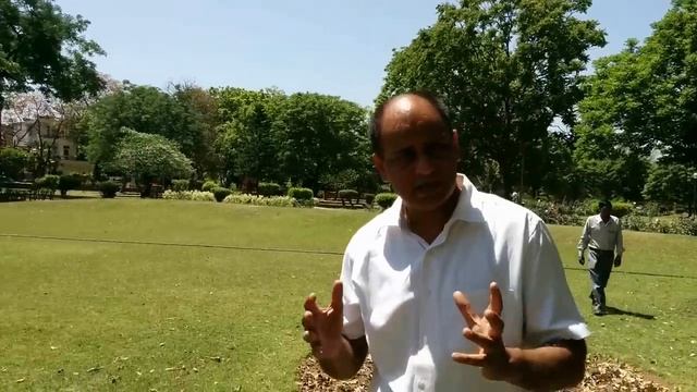 Swollen Lymph Nodes and Ayurvedic Treatment with Natural Remedies смотреть онлайн