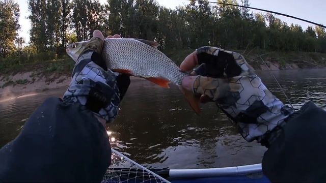 Рыбалка на Вятке, под Советском, 23-25.07.2021г. смотреть онлайн