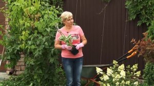 Красивая клумба перед домом. Своими руками.