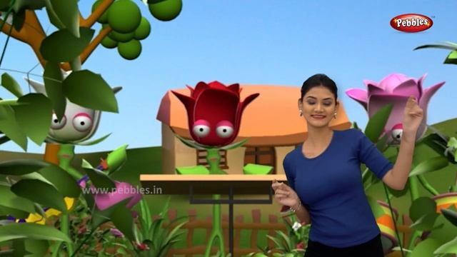 Rose Flower Song With Actions | Flower Rhymes For Babies | Learn Flowers For Kids | Toddlers Songs