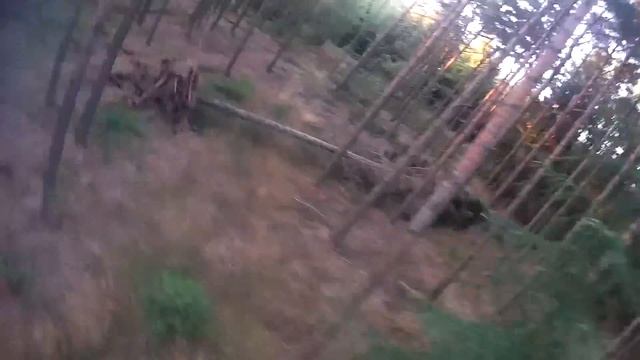 Doing PID and training смотреть онлайн