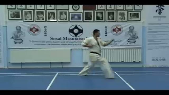 Kyokushin Kata, IKO Sosai Romania, Horatiu Sensei, Kihon Kata Roku.avi смотреть онлайн