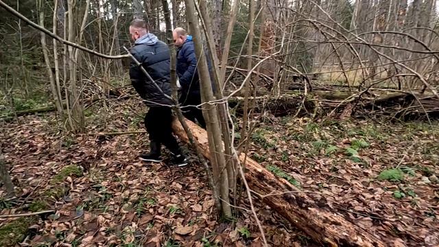 Притащили брёвна | ЛЕСНОЙ ДОМ | ИЗБА | FOREST HOUSE | DUGOUT | HUT смотреть онлайн