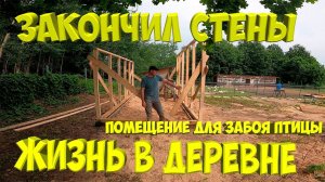 Каркас почти готов. [Жизнь в деревне]