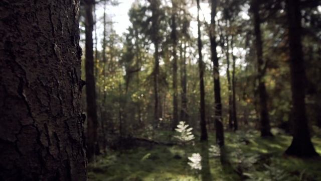 Увидела, как зять ходит налево, пока дочь на заработках в Польше смотреть онлайн