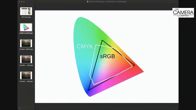 Understanding the Basics of Printing Your Images смотреть онлайн