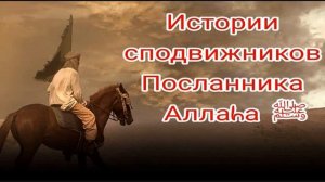 Истории сподвижников Пророка Мухаммада ﷺ
