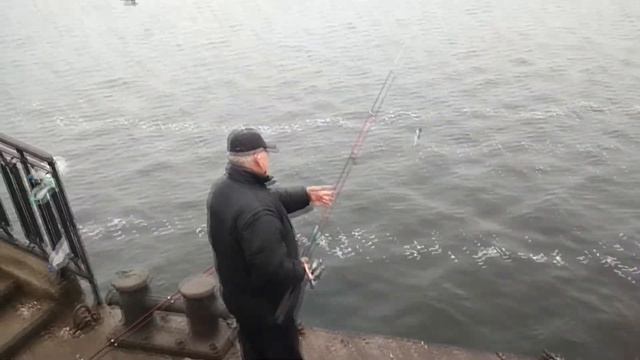 ЧЕРКАССЫ\ЛОВЛЯ ТАРАНИ \ЧТО ТВОРИТЬСЯ НА ПИРСЕ ОСЕНЬЮ? смотреть онлайн