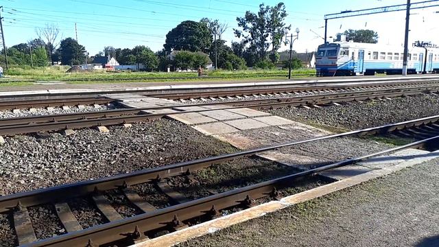 Поезд № 806 Львов - Ровно отправление со ст. Дубно Украина 25.06.2019 смотреть онлайн