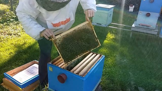 Осмотр семьи после небольшой профилактике. смотреть онлайн