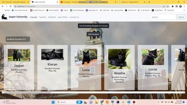 In Progress - Java Spring Boot, Postgres, React Project смотреть онлайн