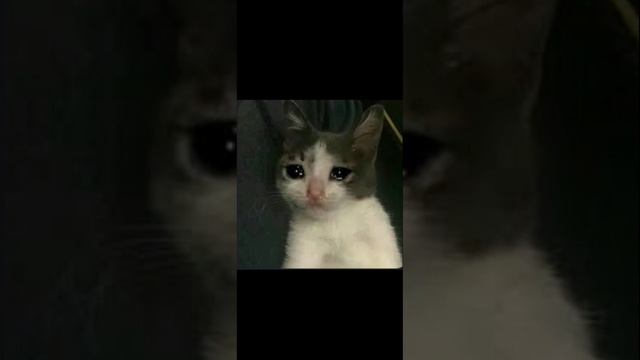Я знаю твой телефон , но никогда не позвоню .Виртуальная любовь (автора не знаю ) смотреть онлайн