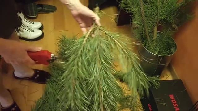 Испытания аккумуляторного секатора Wosai