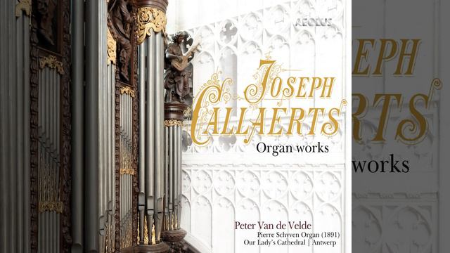 Sonata No. 1 in C Minor: II. Andante cantabile смотреть онлайн