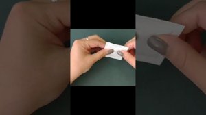 Сколько семян томата в 0,1 гр? Томат Бетта от ГАВРИШ.